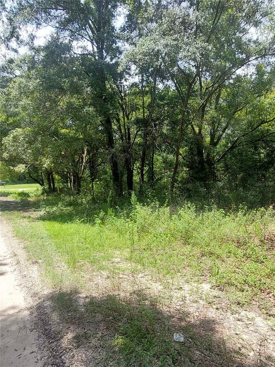 Dunnellon, FL 34432,00 SW 110 PL #Lot 13