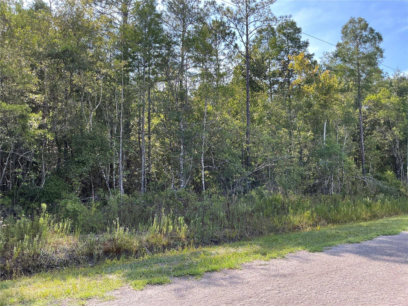 Hastings, FL 32145,TBD LOT 1 CROTTY AVE