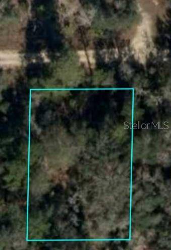 Williston, FL 32696,NE 64TH PL