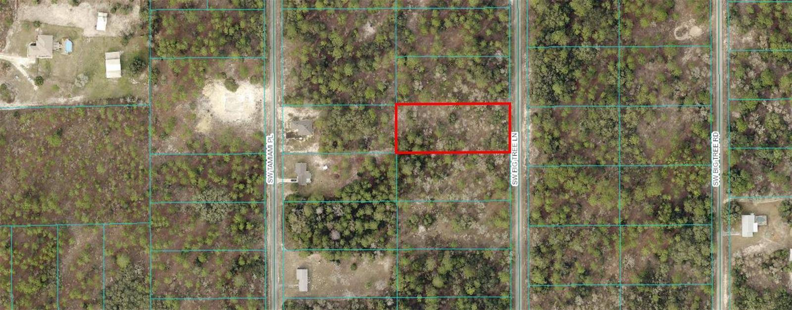 Dunnellon, FL 34431,00 SW FIG TREE LN