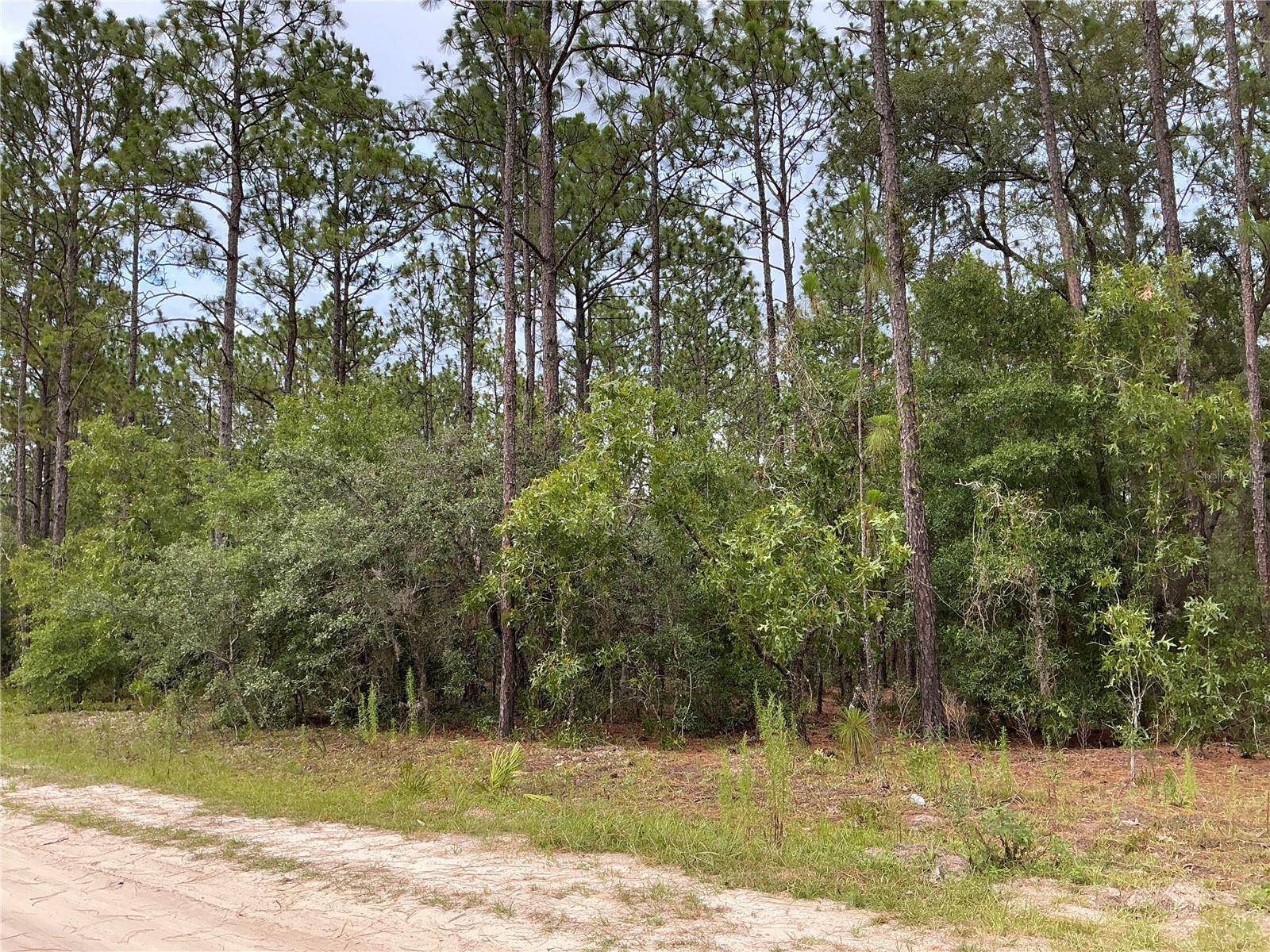 Ocala, FL 34481,LOT 8 SW 137TH COURT RD