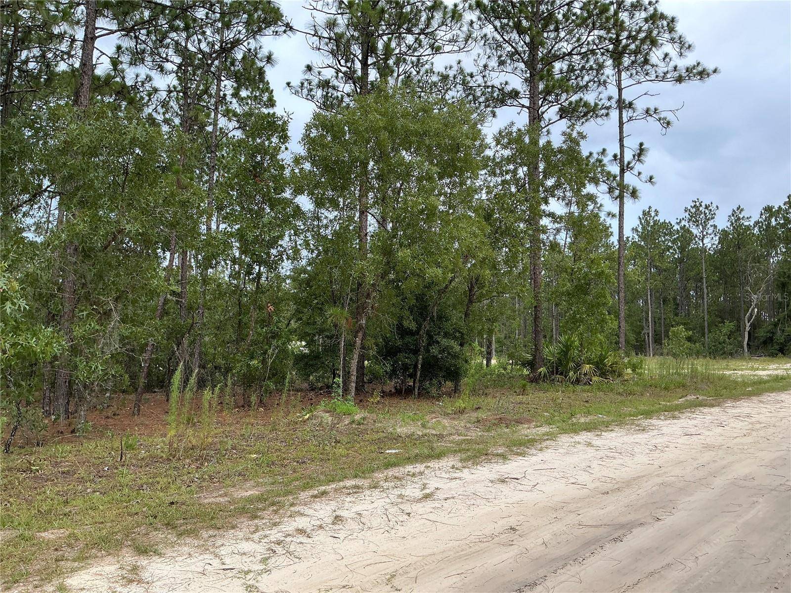 Ocala, FL 34481,LOT 8 SW 137TH COURT RD