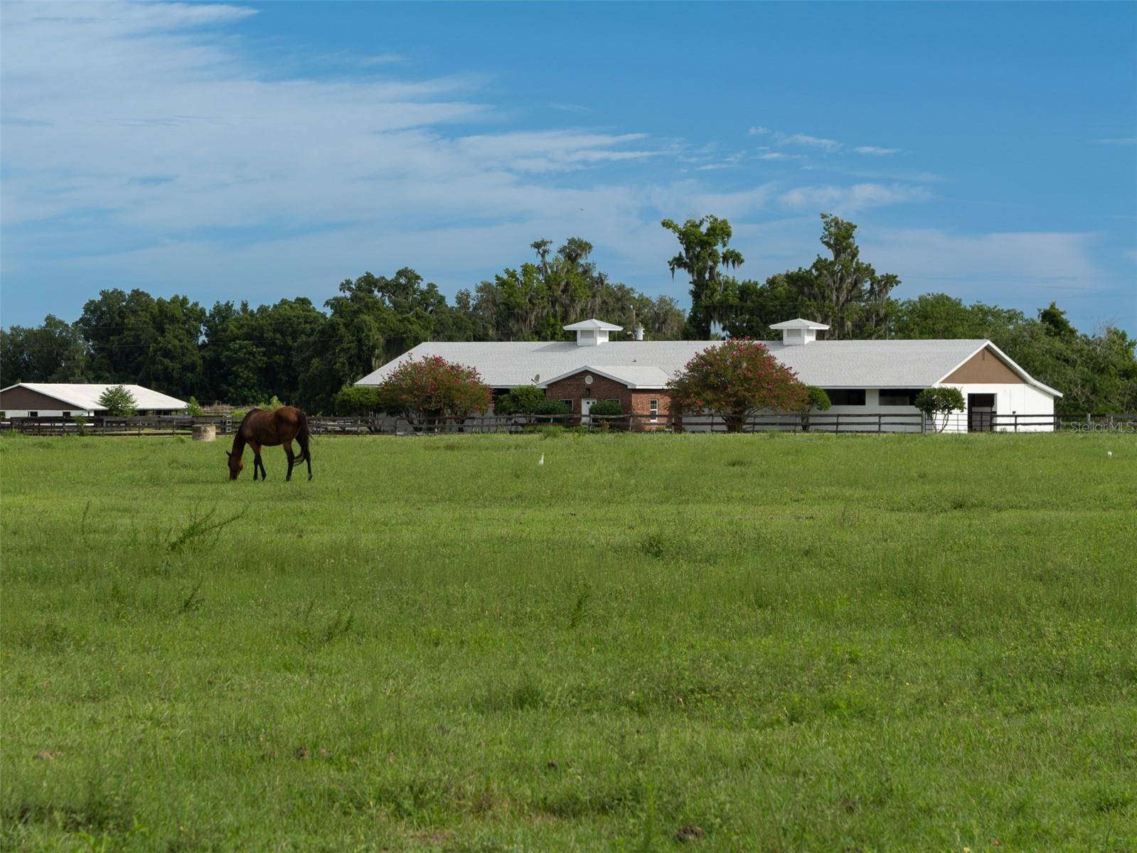 Reddick, FL 32686,13430 NW HIGHWAY 225