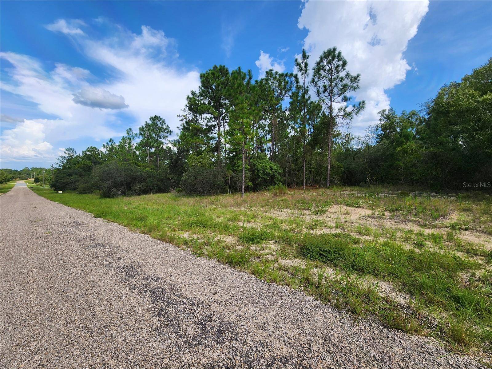 Dunnellon, FL 34433,3504 W SEAHORSE LN