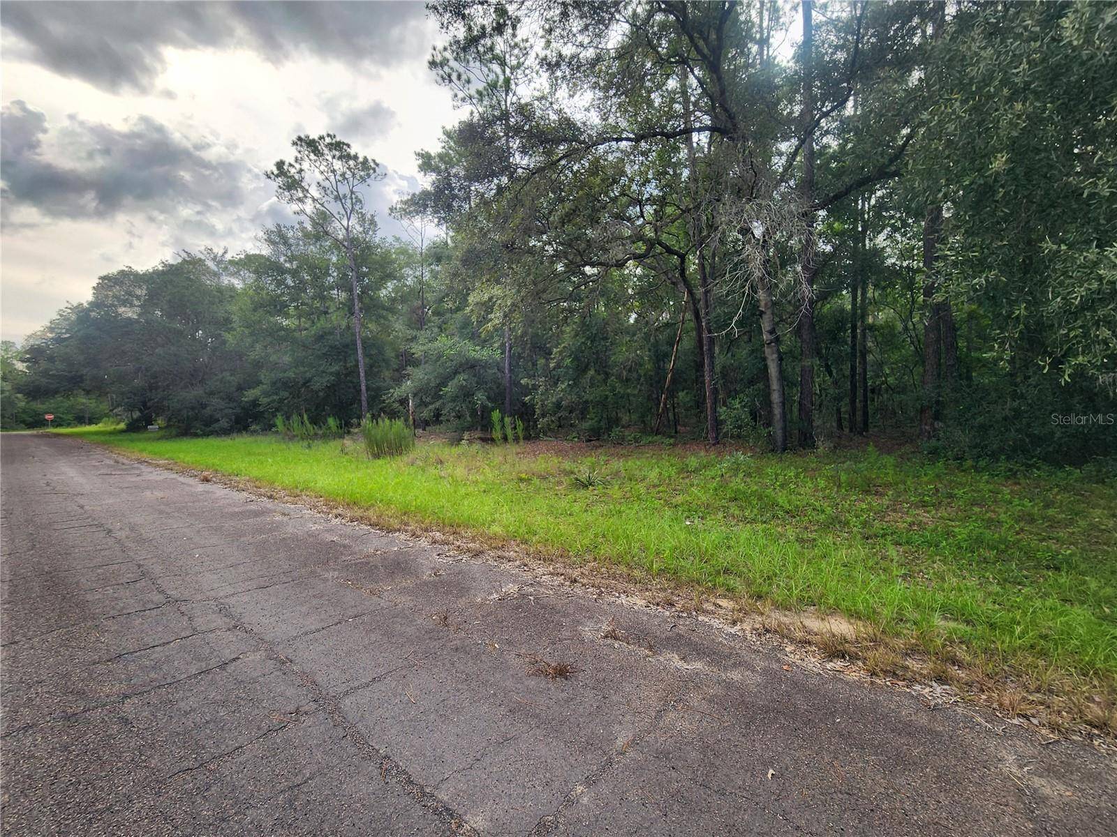 Dunnellon, FL 34434,199 E CORY LN