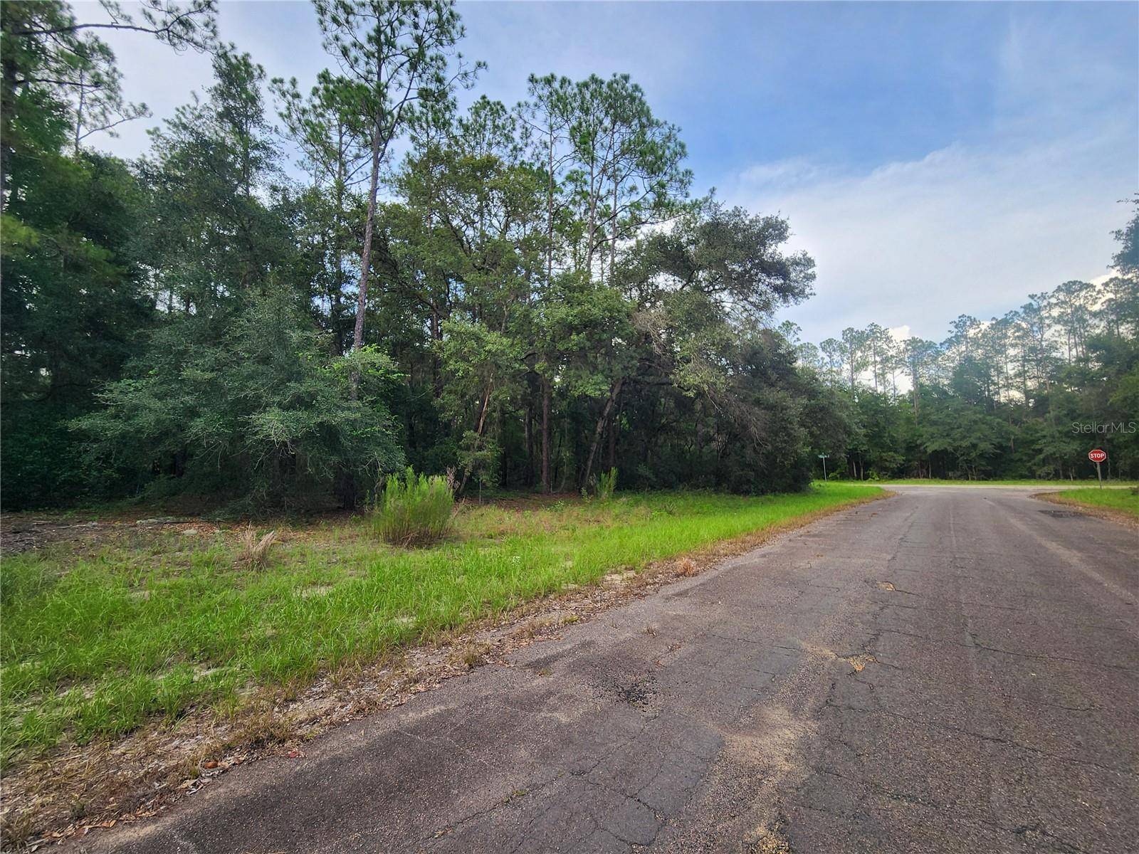 Dunnellon, FL 34434,199 E CORY LN