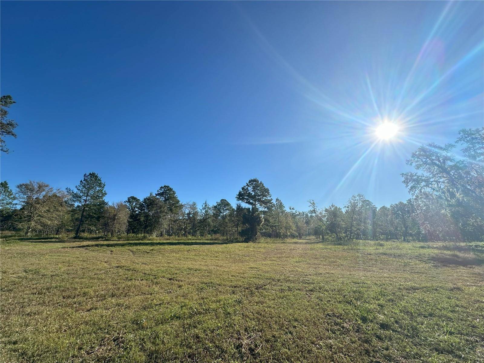Reddick, FL 32686,225ac NW 193RD ST