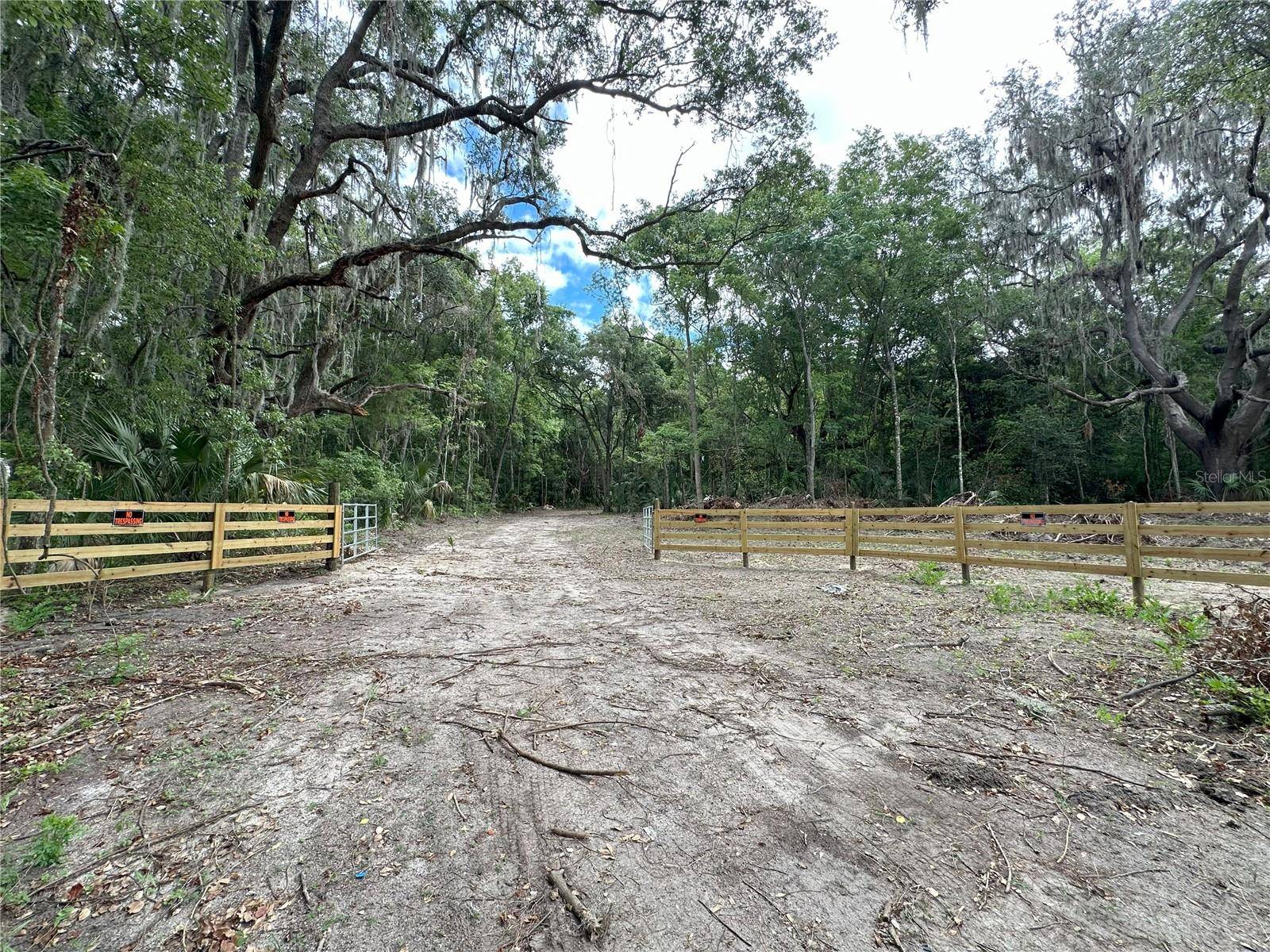 Micanopy, FL 32667,125ac NW 193RD ST