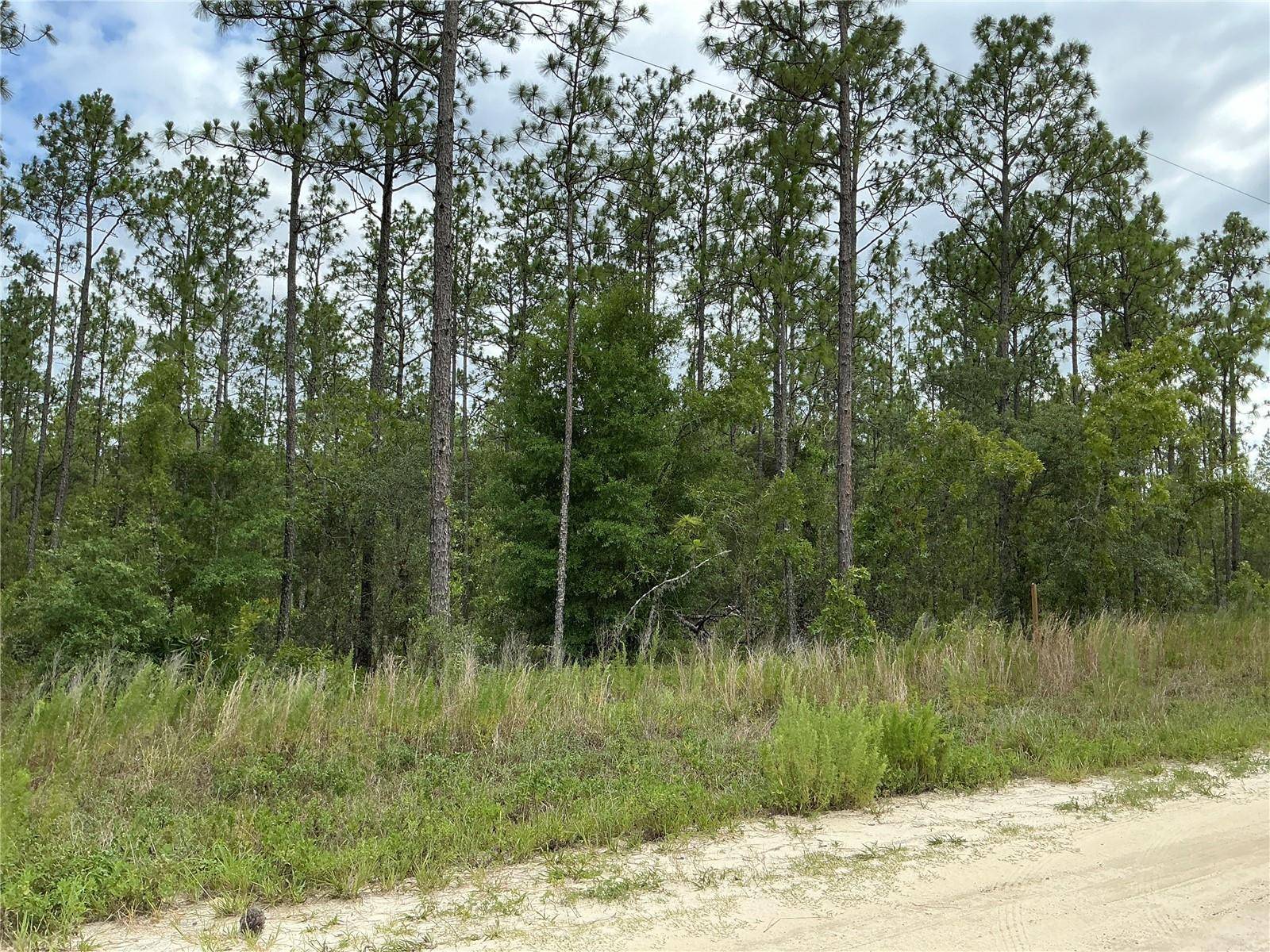 Dunnellon, FL 34432,LOT 11 SW 73RD ST