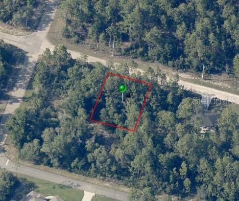 Dunnellon, FL 34433,8884 N VIENNA DR