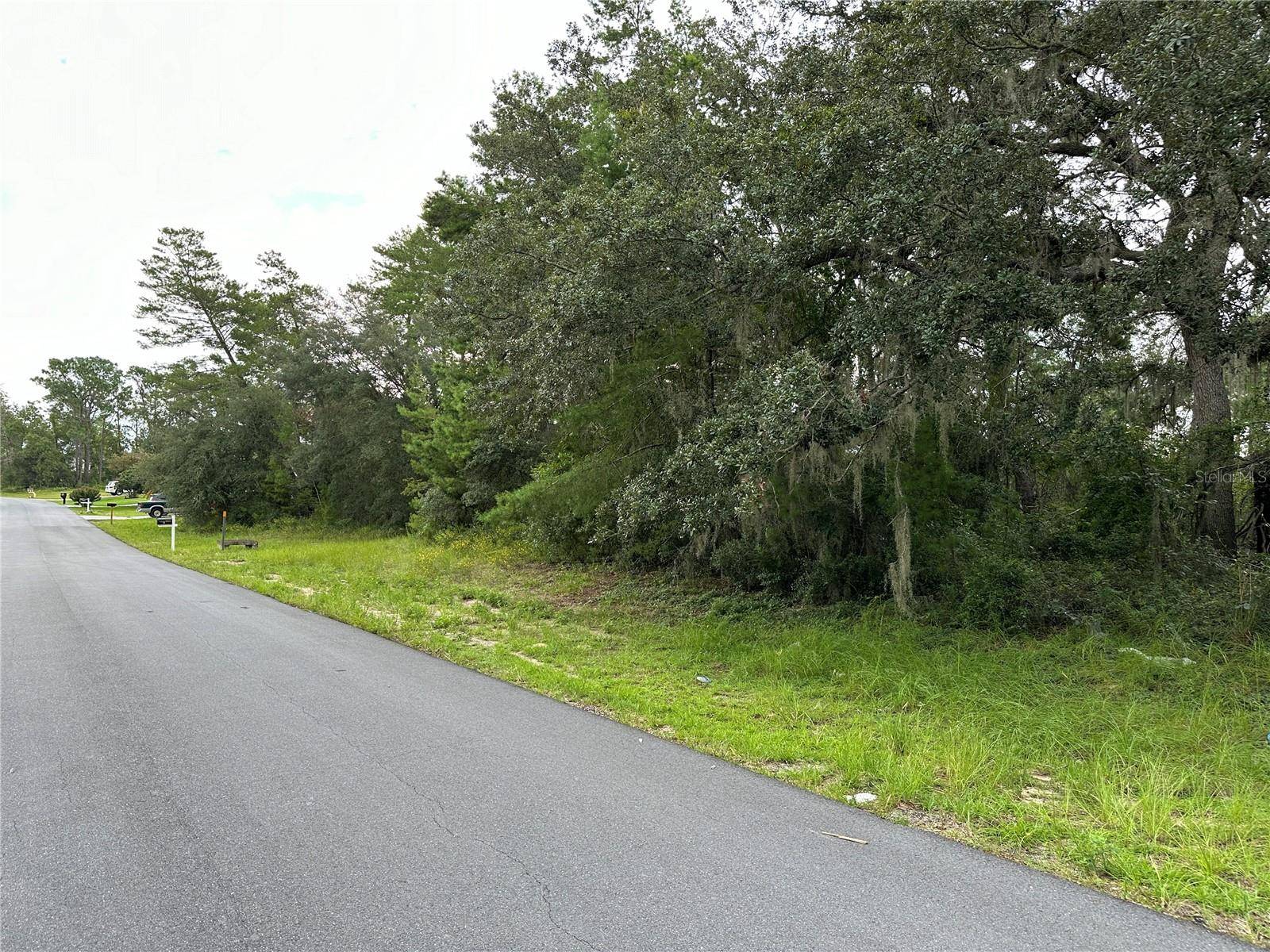 Ocala, FL 34473,0000 SW 166TH LOOP