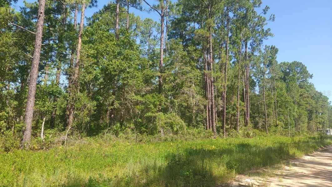 Interlachen, FL 32148,Lot 22 SELMA AVE