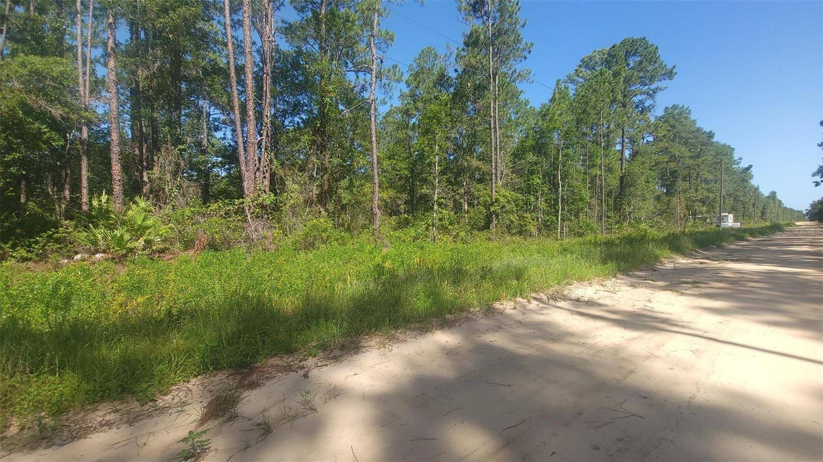 Interlachen, FL 32148,Lot 22 SELMA AVE