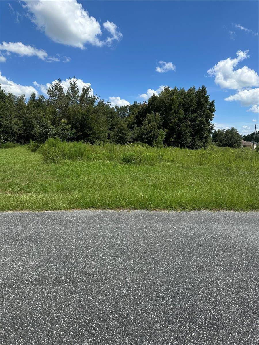 Ocala, FL 34473,0 SW 128TH PL