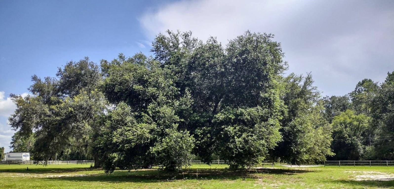 Ocklawaha, FL 32179,3980 SE 183RD AVENUE RD