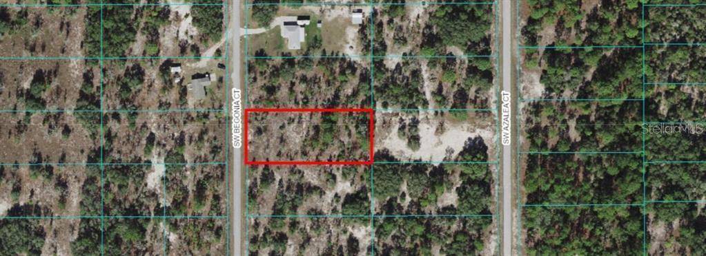 Dunnellon, FL 34431,TBD SW BEGONIA CT