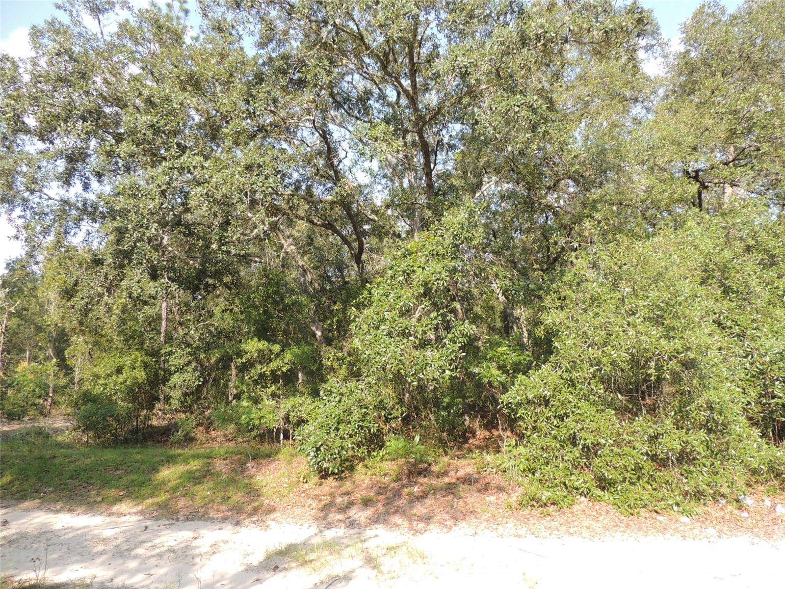 Bronson, FL 32621,7550 NE 95TH AVE
