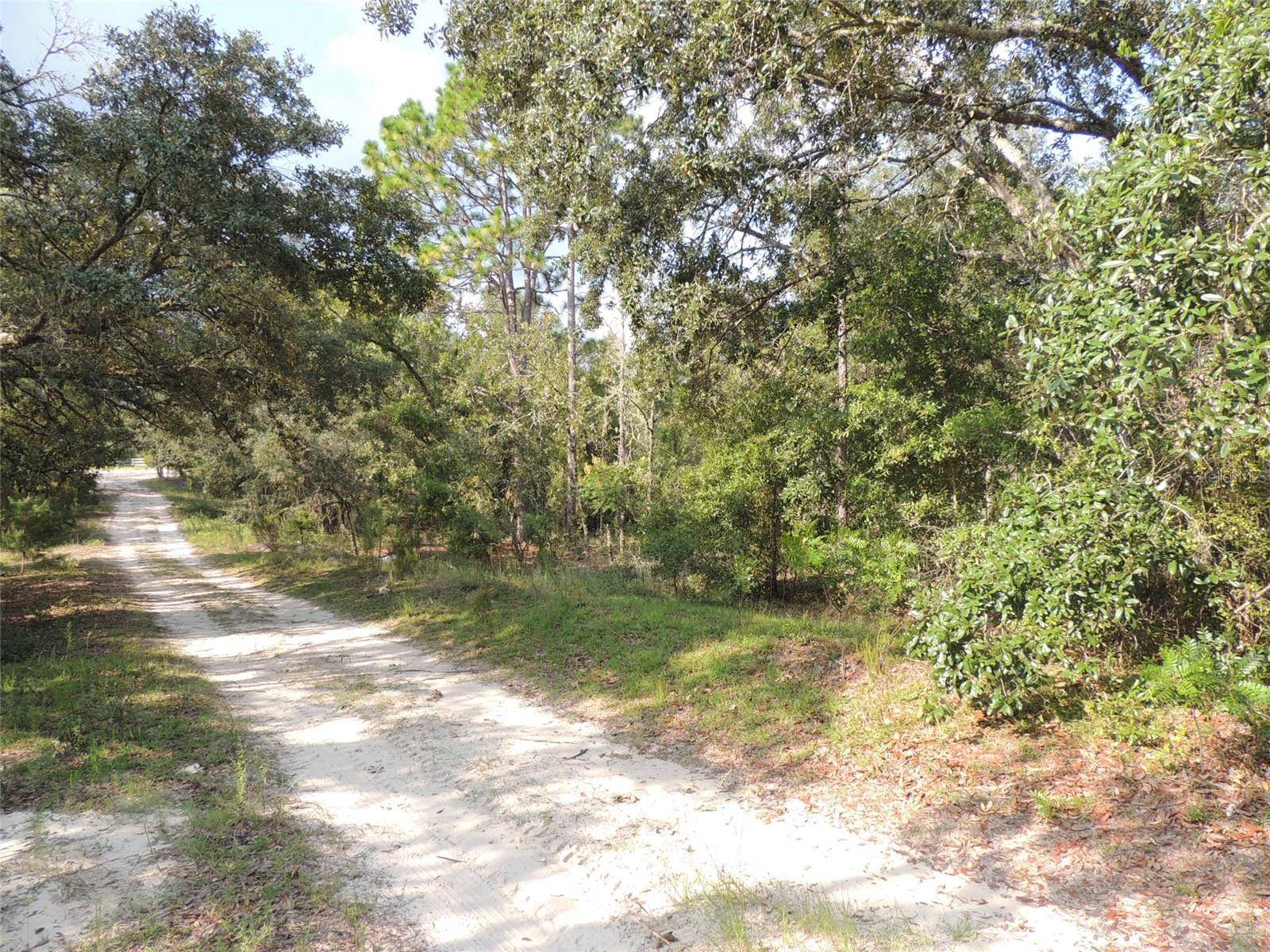 Bronson, FL 32621,7550 NE 95TH AVE