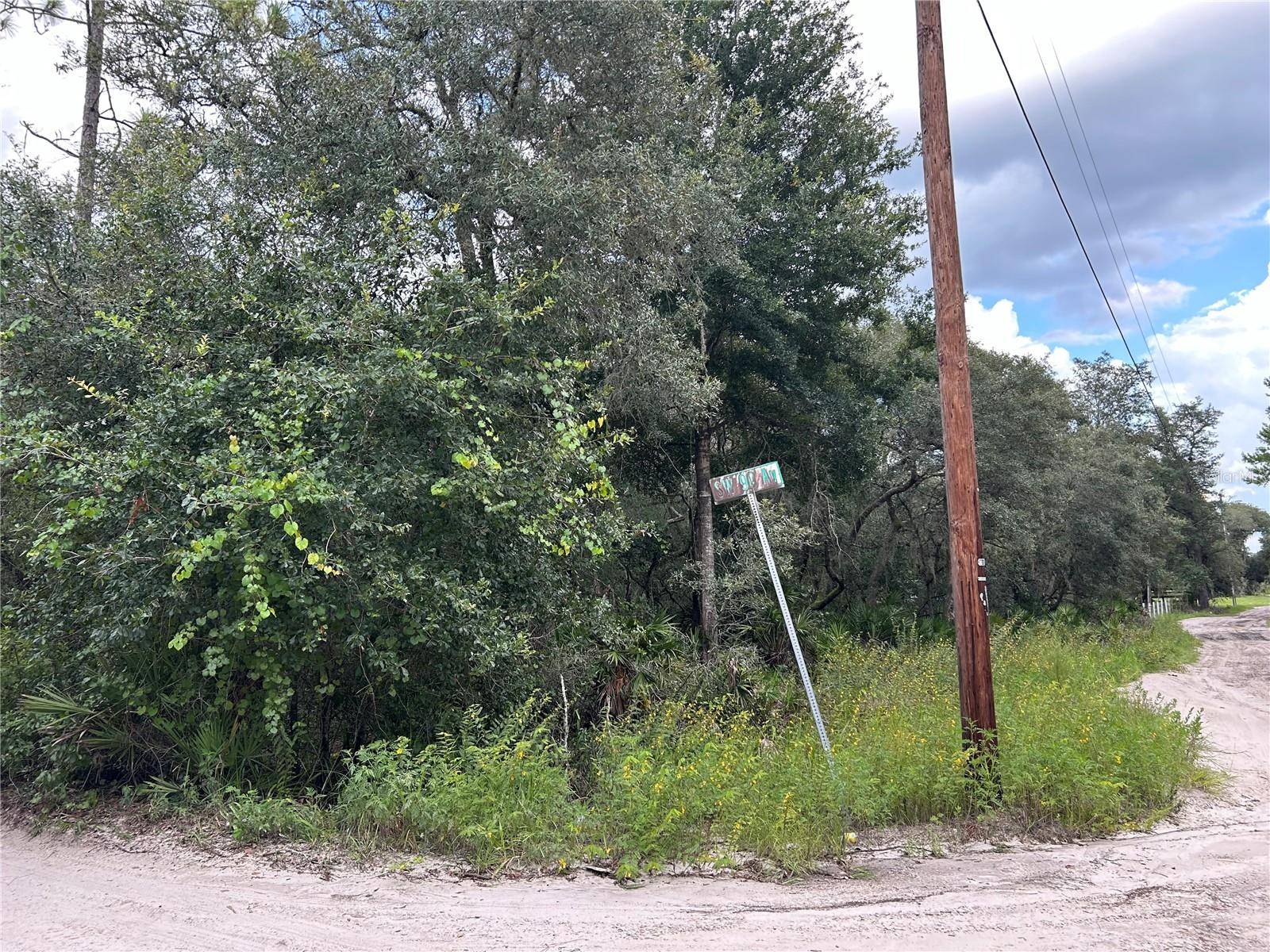 Dunnellon, FL 34433,SW 152ND PL