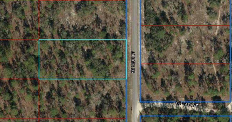 Dunnellon, FL 34431,SE 129TH CT