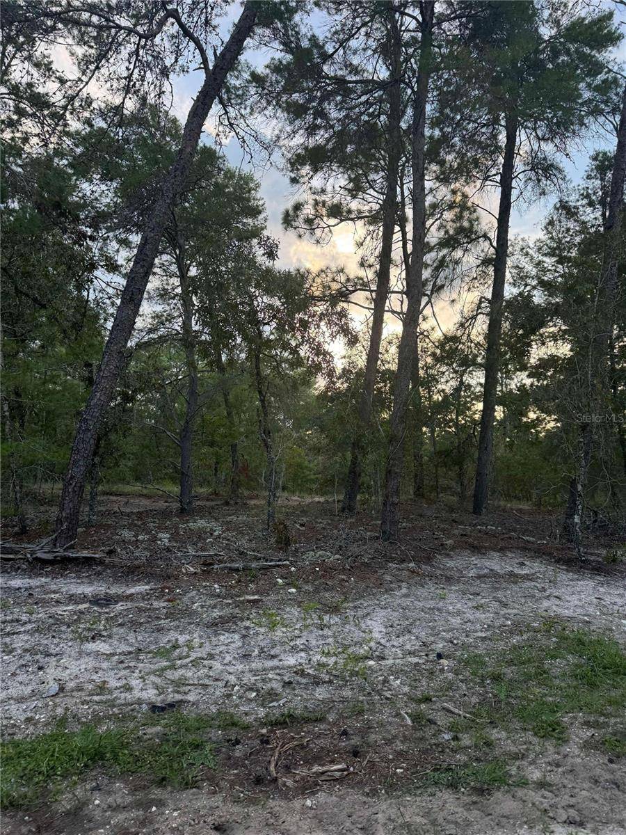 Morriston, FL 32668,Lot #4 SE 145TH CT