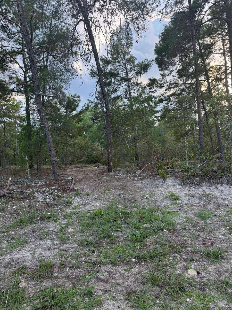 Morriston, FL 32668,Lot #4 SE 145TH CT