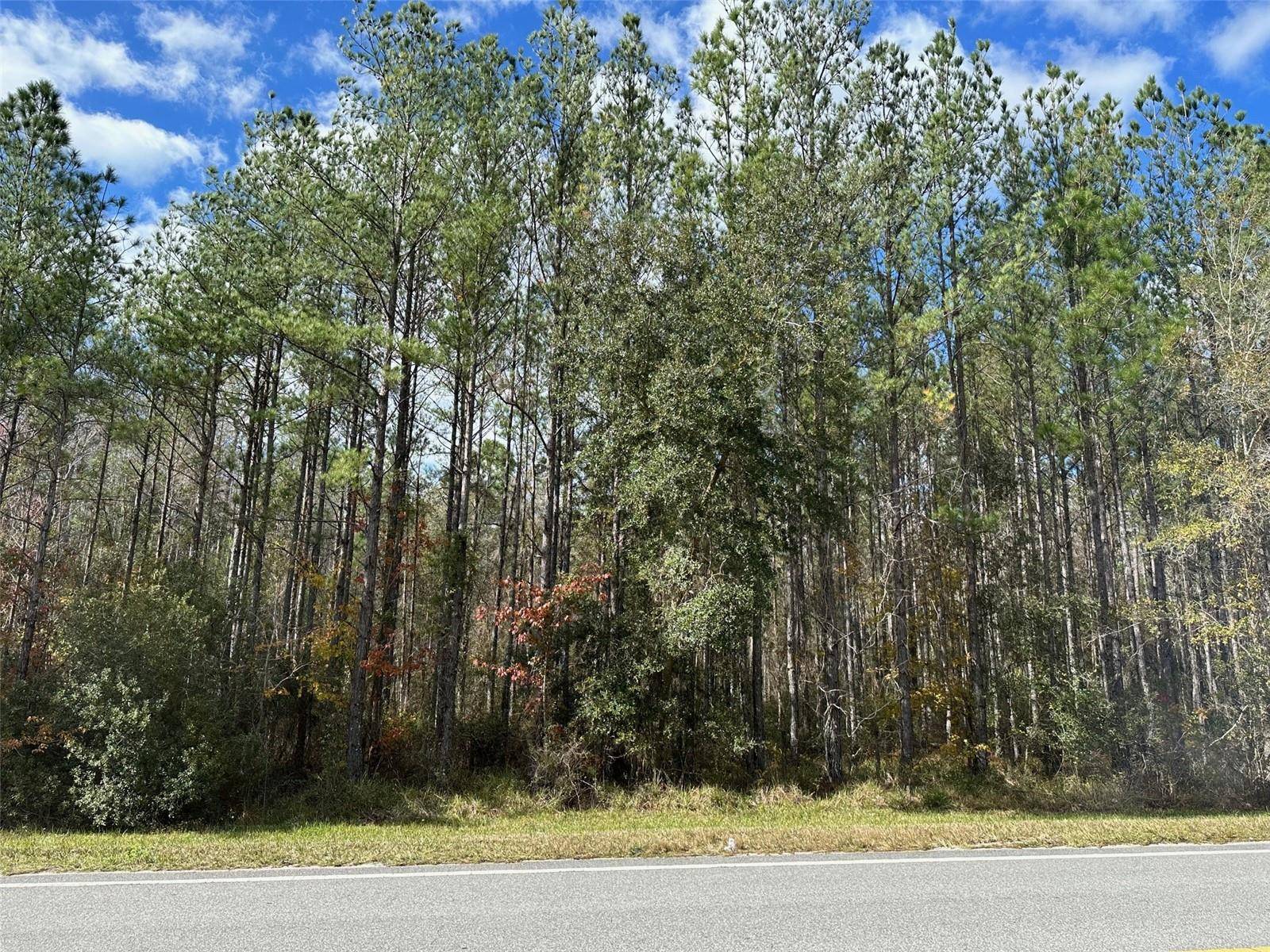 Fort Mc Coy, FL 32134,TBD NE HWY 315