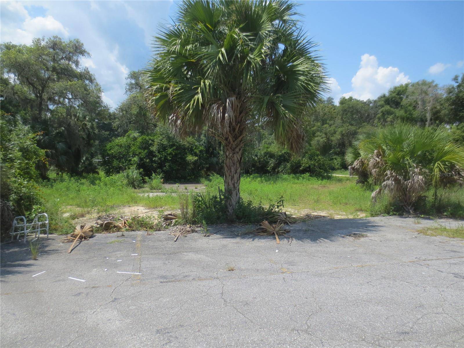 Silver Springs, FL 34488,16340 E HIGHWAY 40