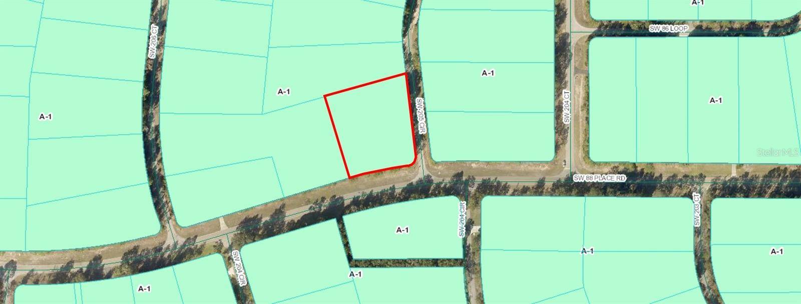 Dunnellon, FL 34431,TBD SW 205TH CIR