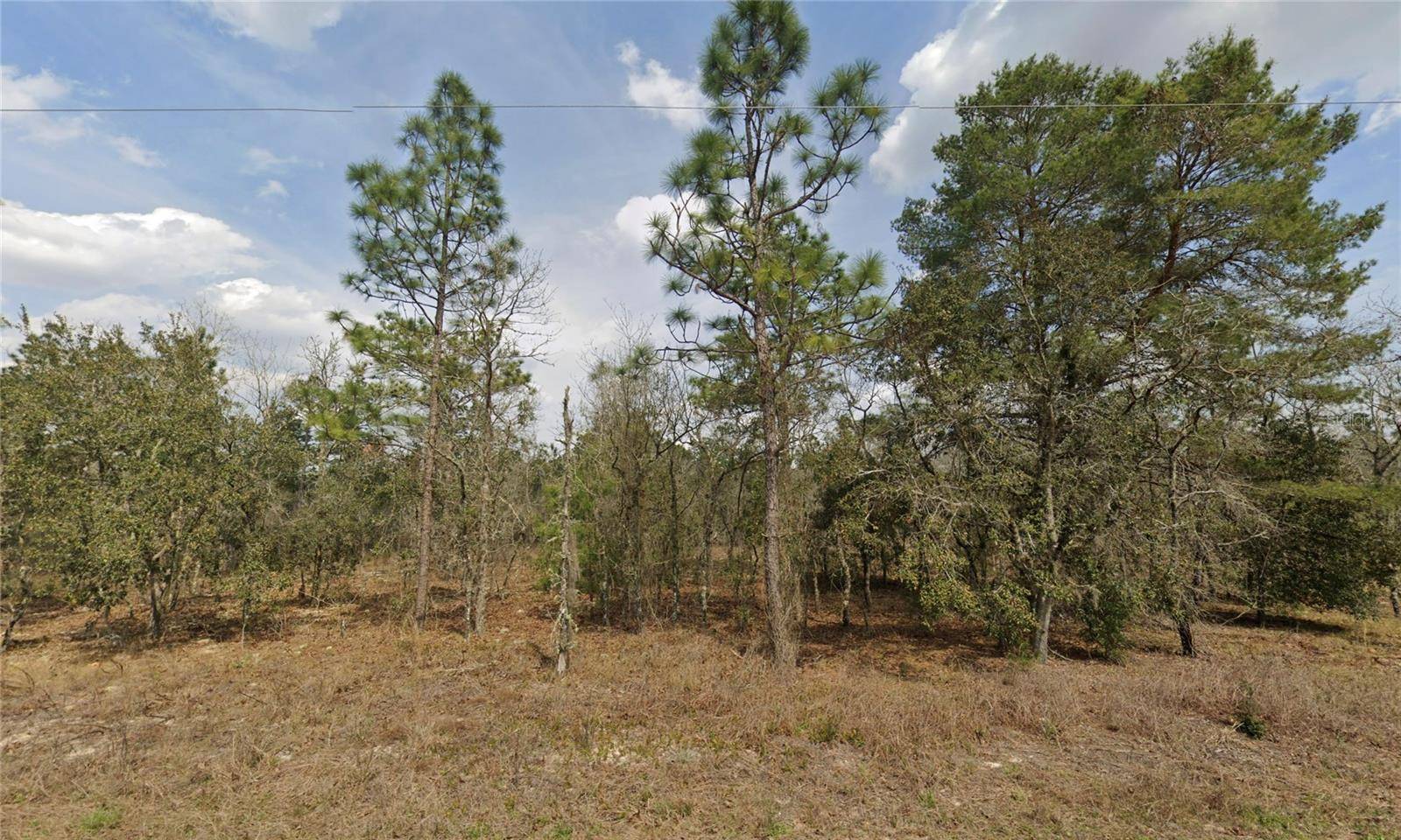 Dunnellon, FL 34432,00 SW 81ST ST