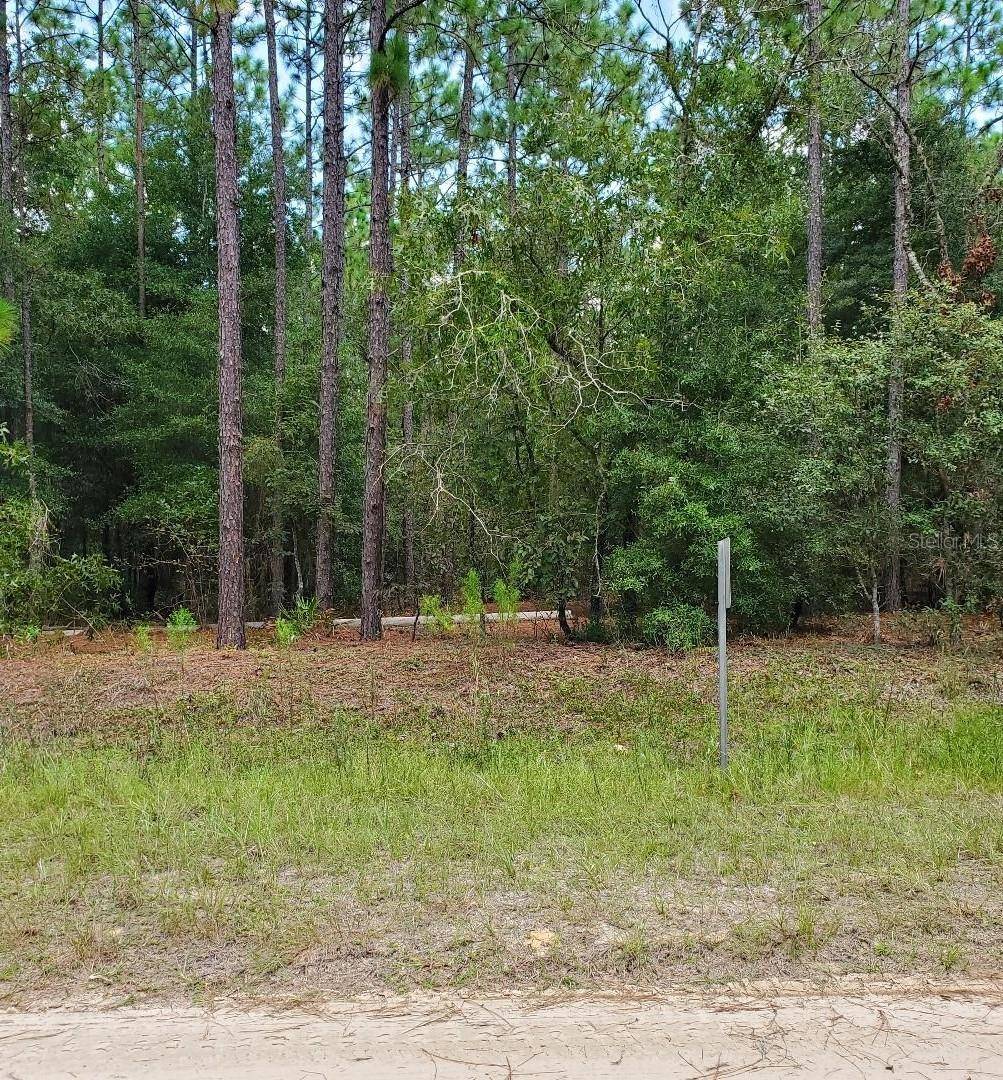 Ocala, FL 34481,Land SW 136TH AVE RD