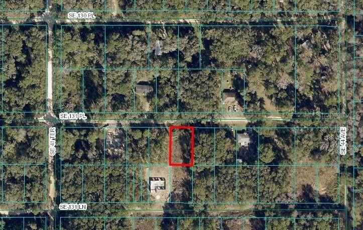 Belleview, FL 34420,TBD SE 131ST PL