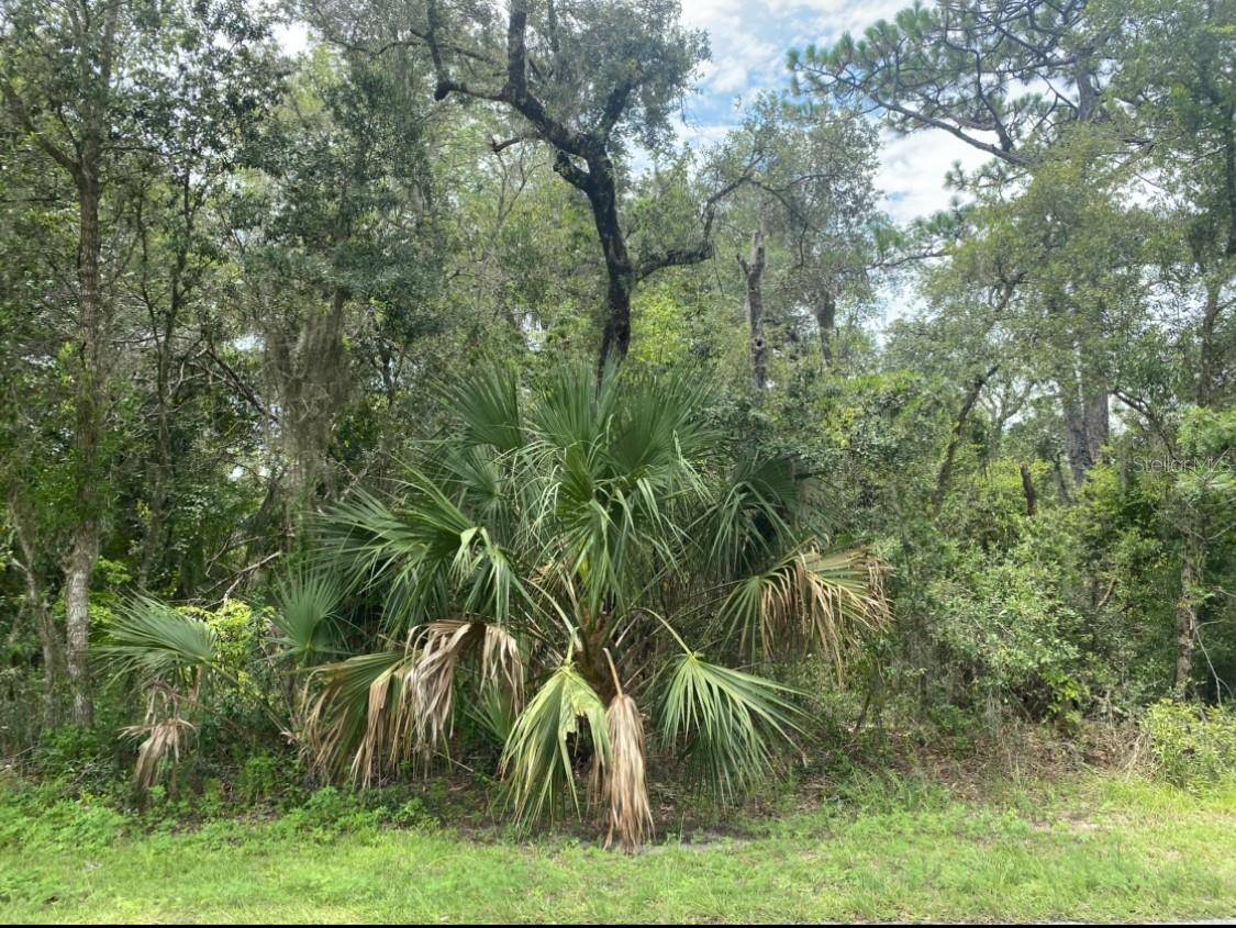 Dunnellon, FL 34431,Lot 13 SW SEA CLIFF AVE