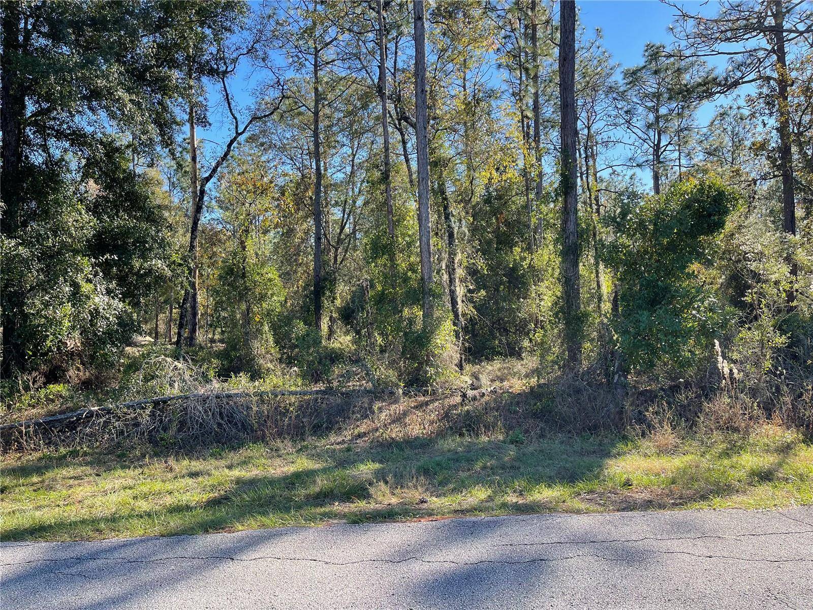 Dunnellon, FL 34431,LOT 5 NW FALCON AVE