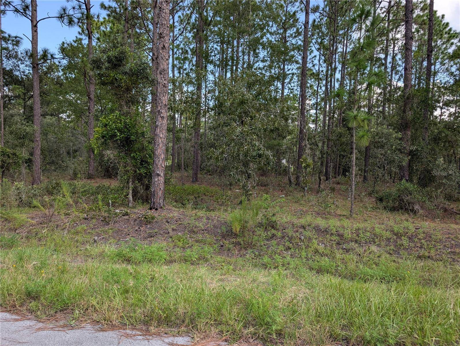 Dunnellon, FL 34431,TBD NW FOXGLOVE LN