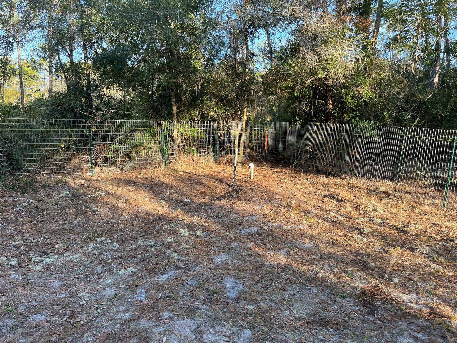 Satsuma, FL 32189,307 MALLARD RD