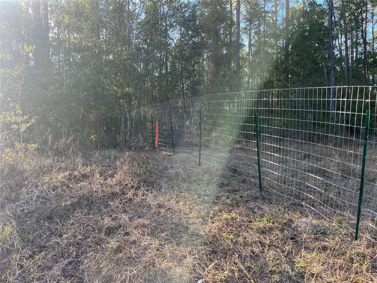 Satsuma, FL 32189,307 MALLARD RD