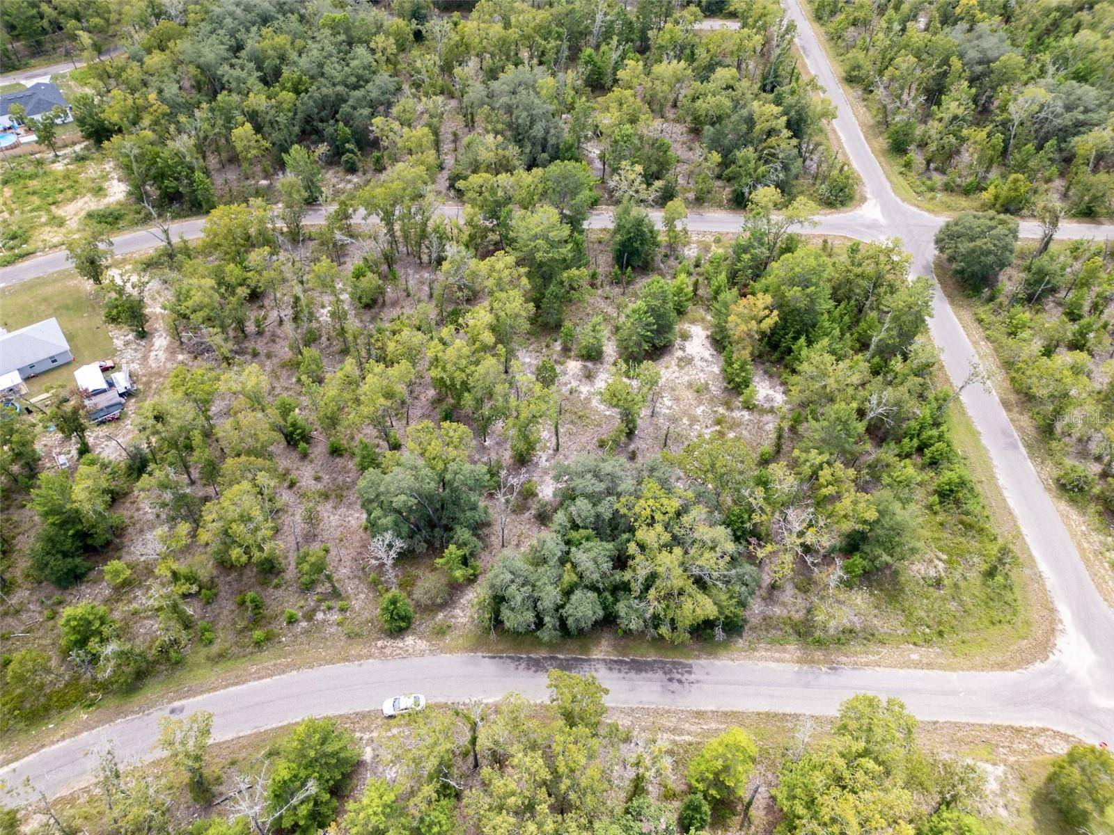 Ocklawaha, FL 32179,TBD FISHER LANE TRCE