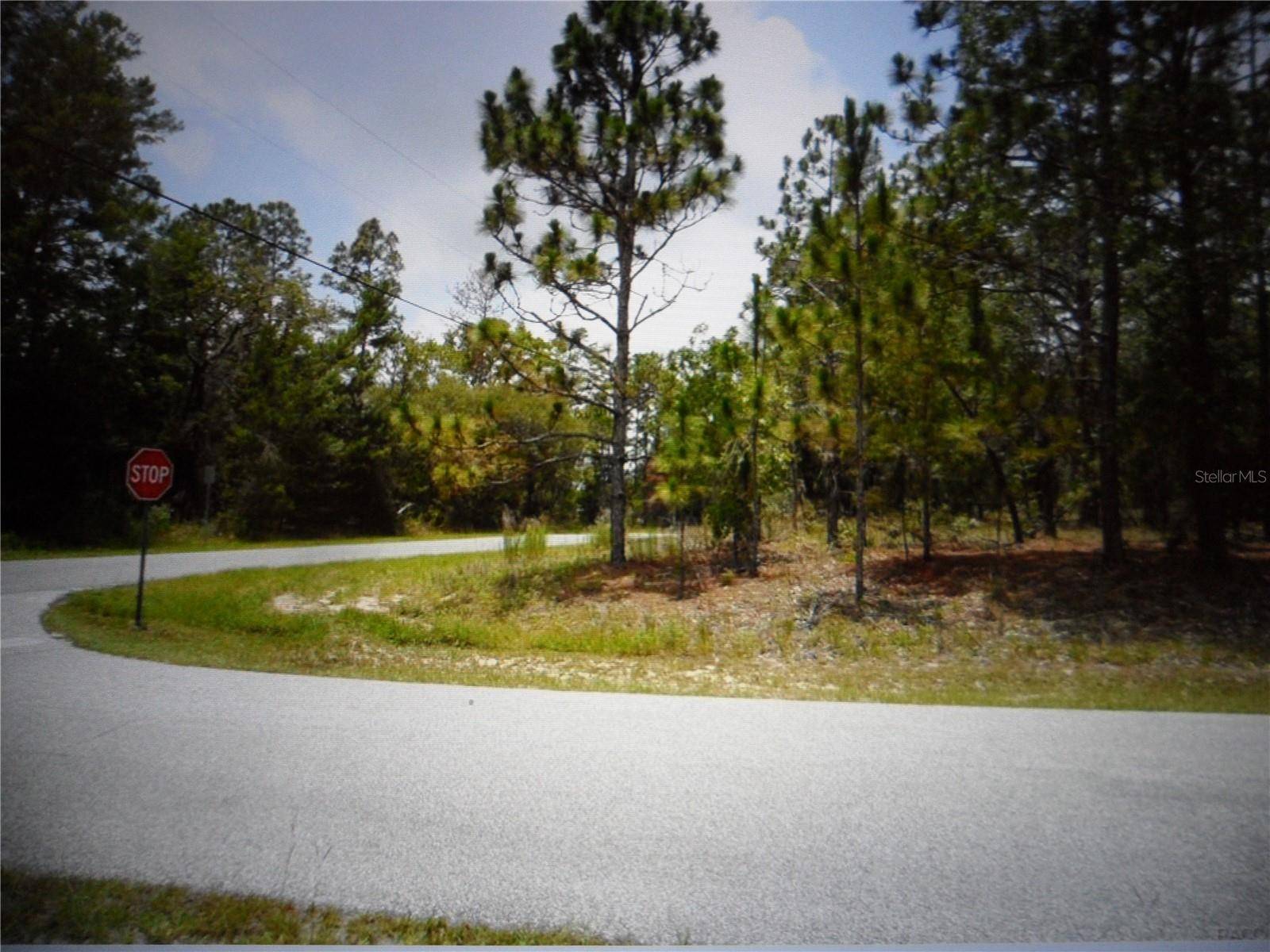 Dunnellon, FL 34433,7585 N SUSAN AVE