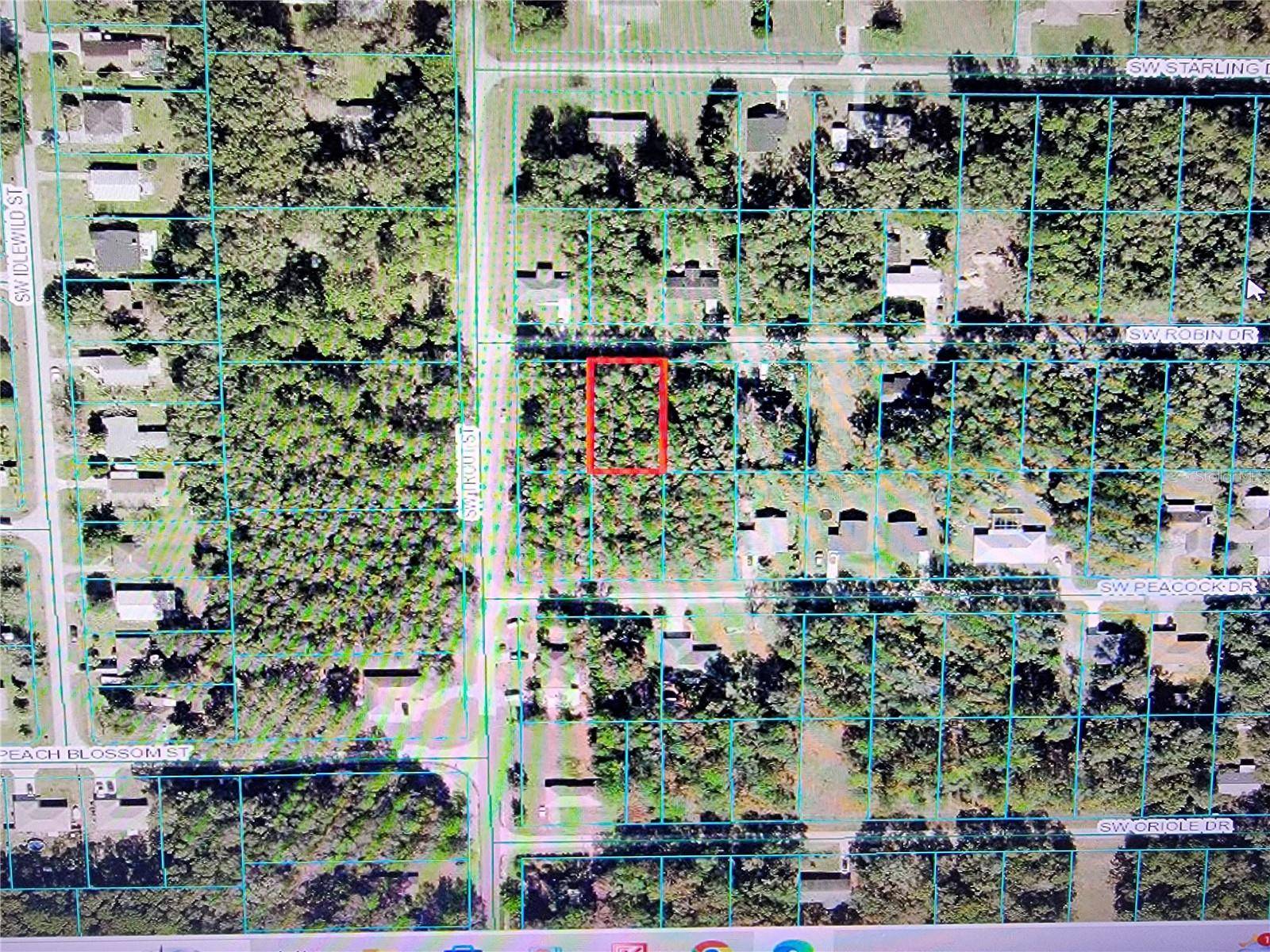 Dunnellon, FL 34432,Lot 29 SW ROBIN DR