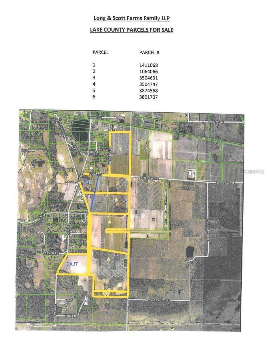 Mount Dora, FL 32757,Address not disclosed
