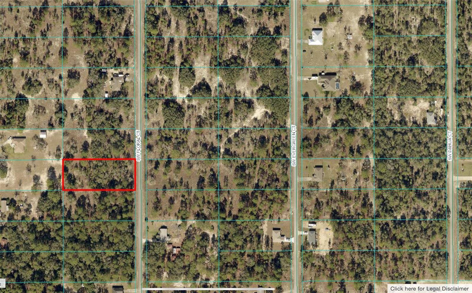 Dunnellon, FL 34431,FLORAL CT