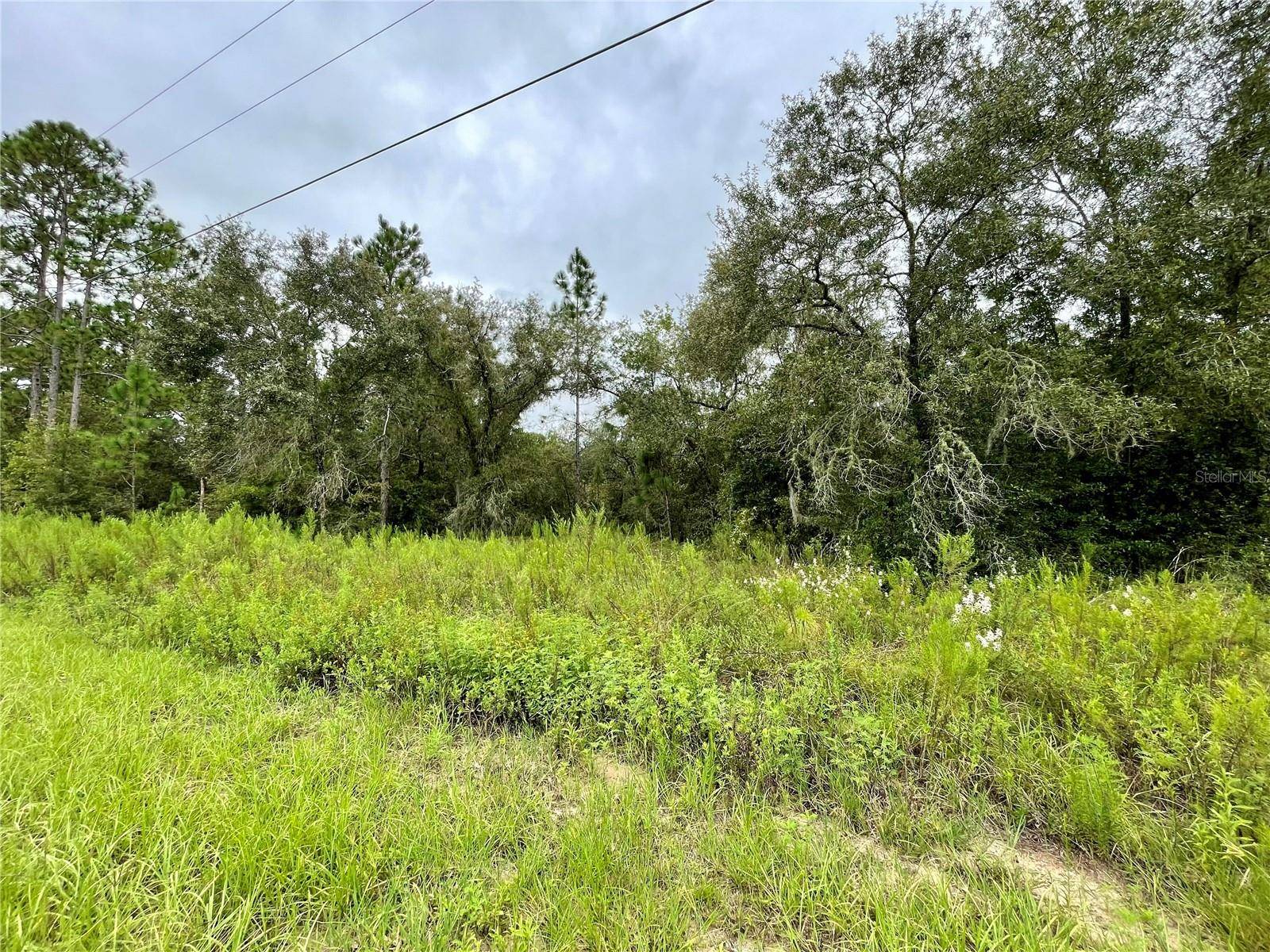 Dunnellon, FL 34431,FLORAL CT