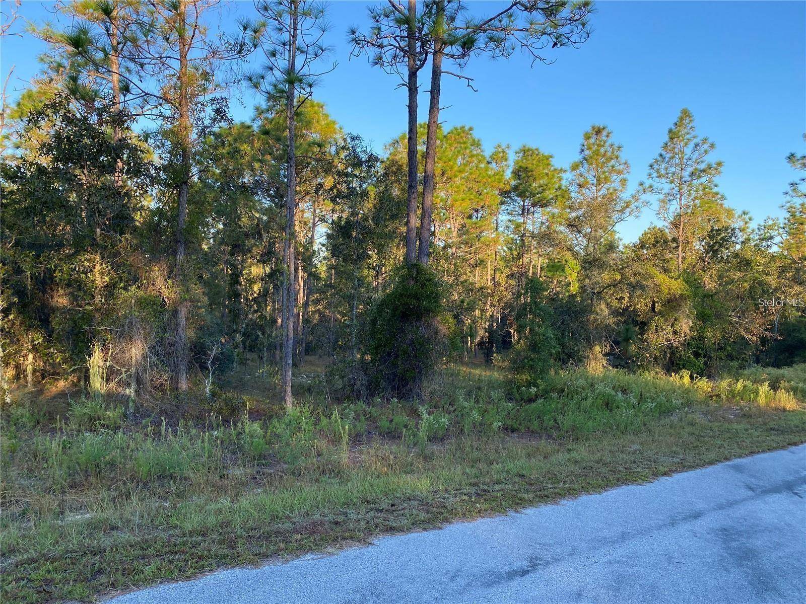 Dunnellon, FL 34431,00 NW SUNSHINE RIDGE