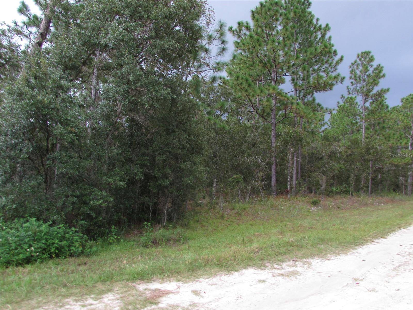 Dunnellon, FL 34432,Lot 13 SW 78TH PL