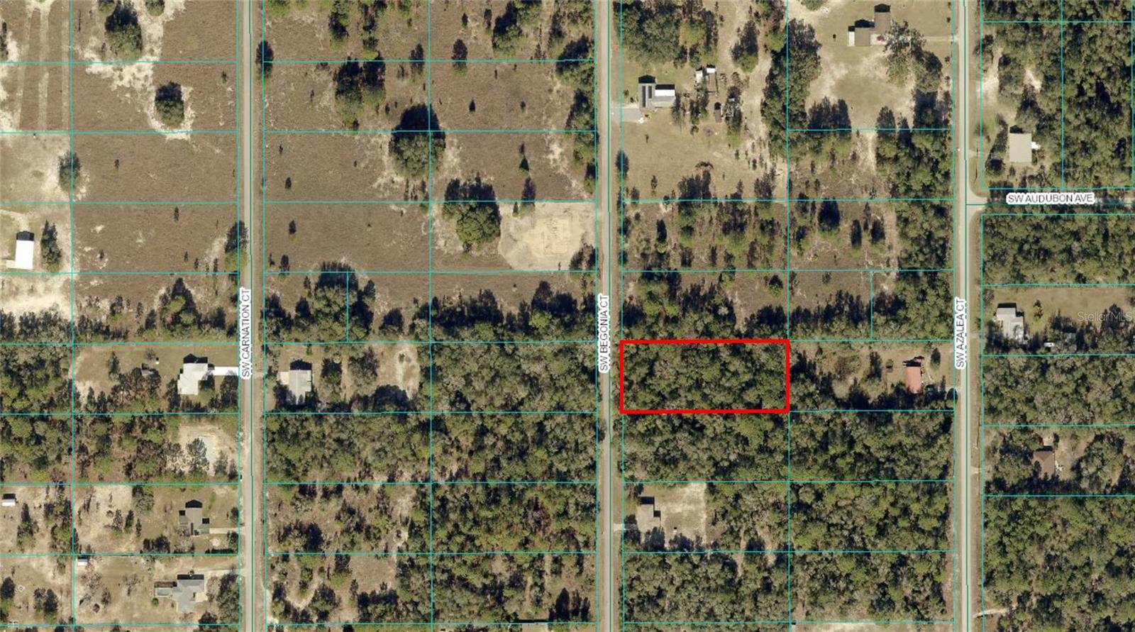 Dunnellon, FL 34431,BEGONIA CT