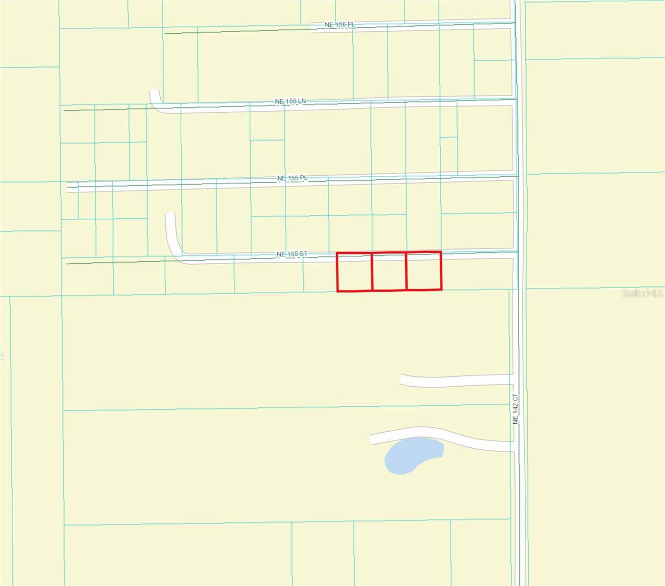 Fort Mc Coy, FL 32134,TBD NE 155TH ST