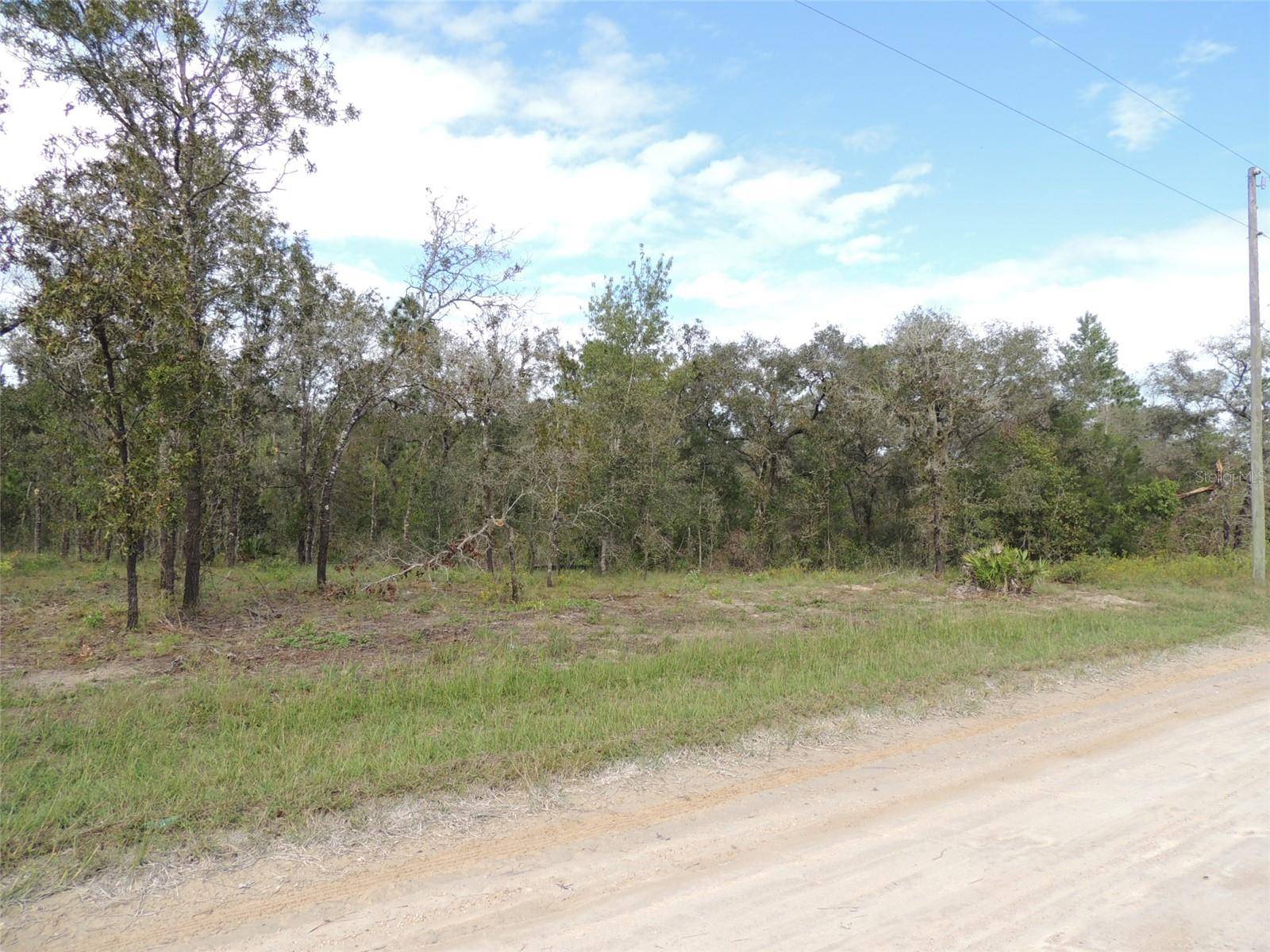 Morriston, FL 32668,13421 SE 21ST PL