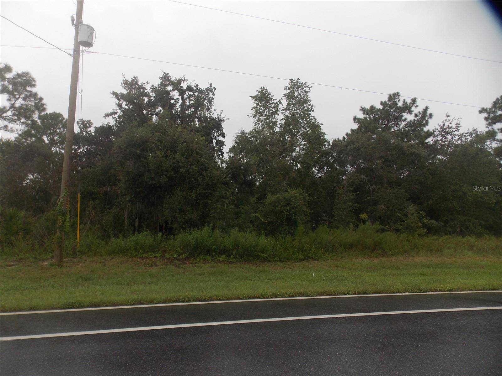 Ocala, FL 34473,TBD MARION OAKS MNR