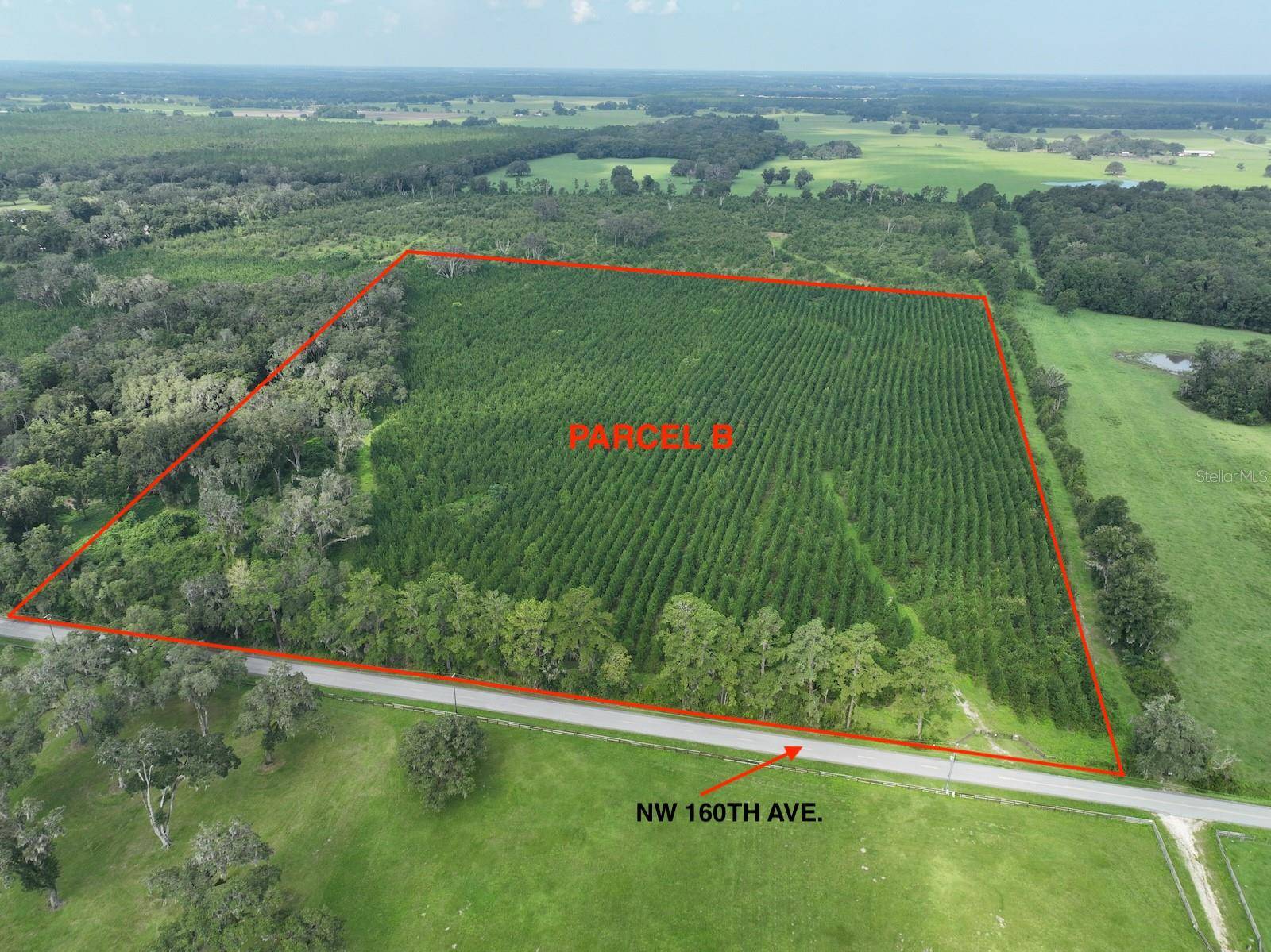 Morriston, FL 32668,Parcel B NW 160TH AVE